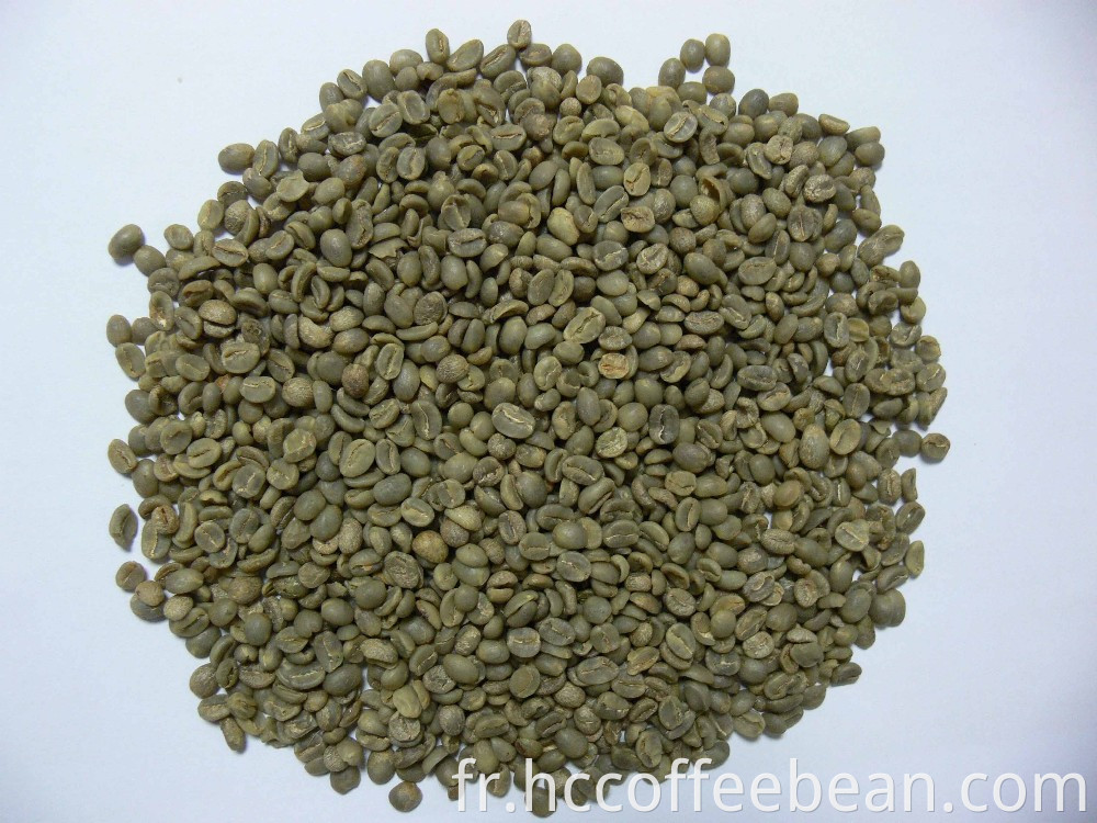 Grains de café du Yémen, grains de café arabica, grains de café verts, grains de café crus, 14-16